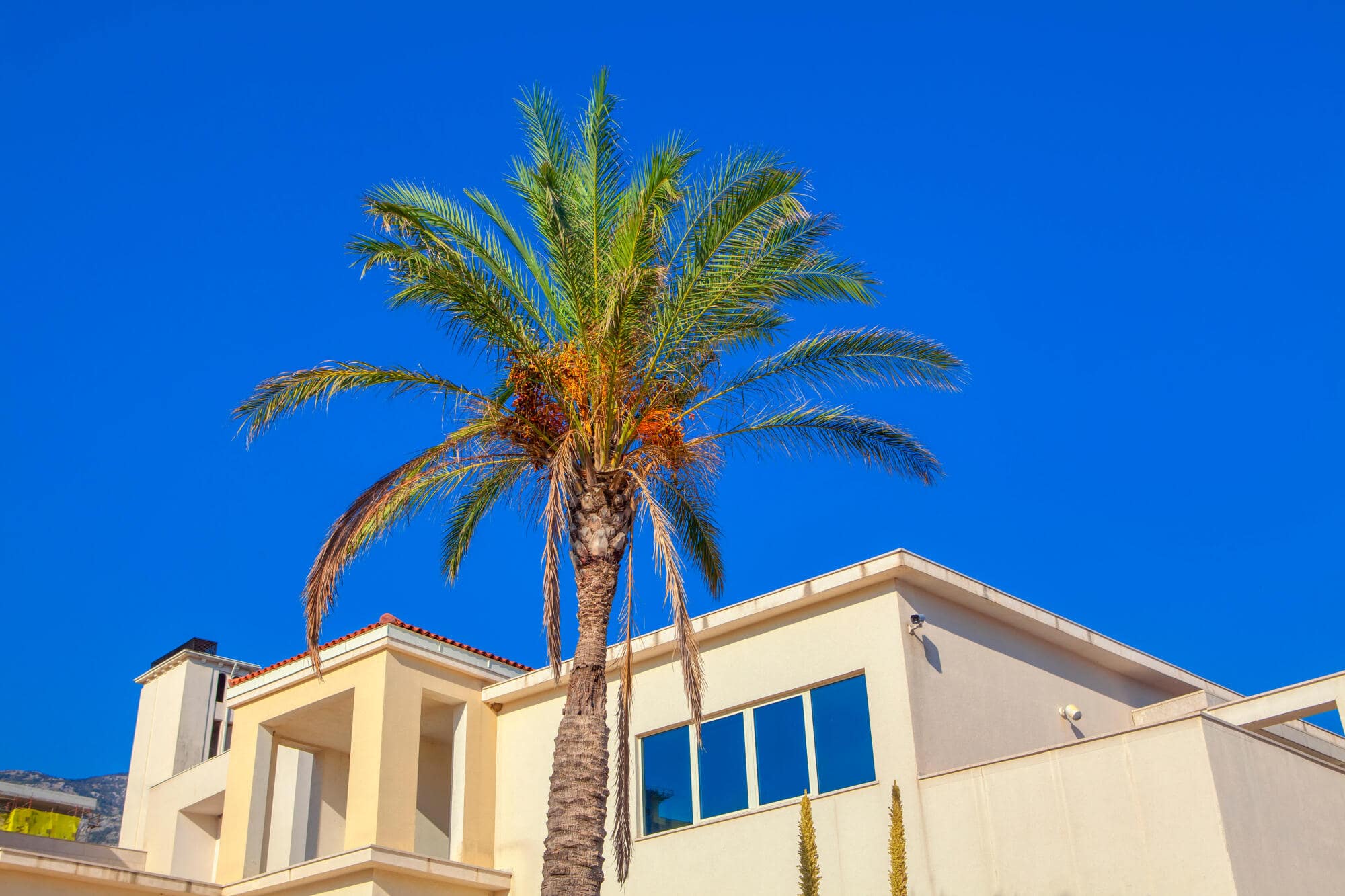 Summer Vacation Rental Tips: Making the Most of the High Season